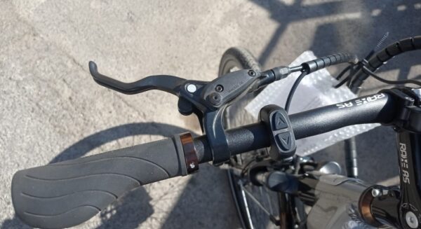 BOTTECCHIA BE19 - immagine 6